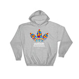 Autism Awareness Hooded Sweatshirt