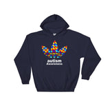 Autism Awareness Hooded Sweatshirt