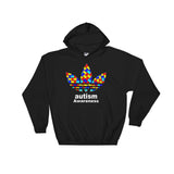 Autism Awareness Hooded Sweatshirt